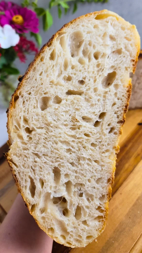 Sourdough Bread