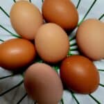 Storing Fresh Chicken Eggs