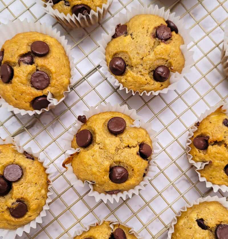 Banana Chocolate Chip Muffins