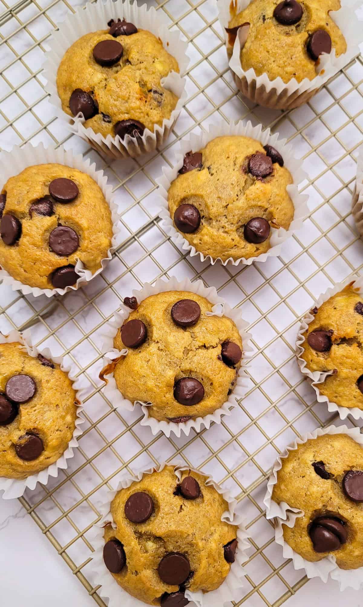 Banana Chocolate Chip Muffins