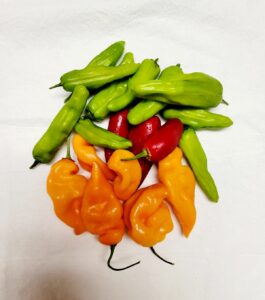 Freezing Peppers