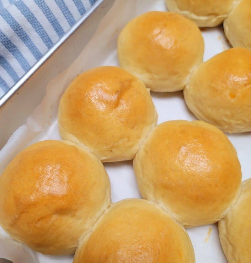 Dinner Rolls