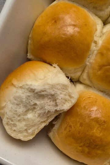 Easy Homemade Dinner Rolls Recipe