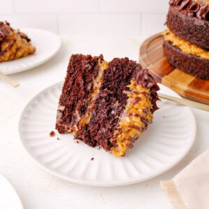 Slice of Homemade German chocolate cake with coconut pecan filling and ganache border.