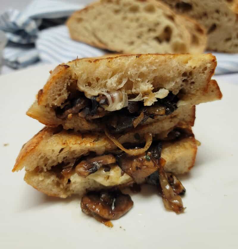 Caramelized Onion and Mushroom Grilled Cheese