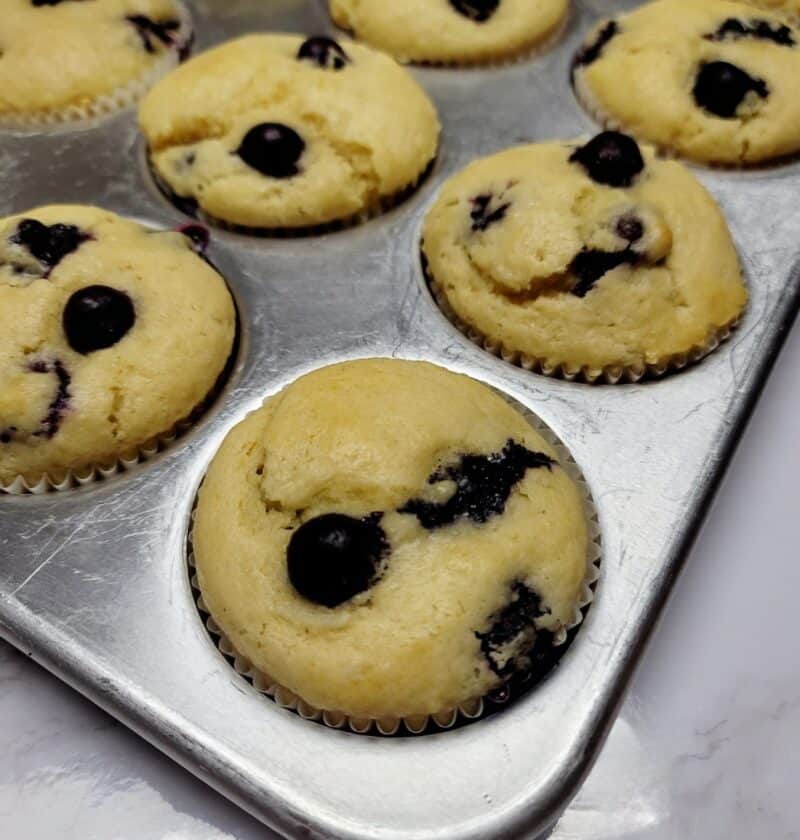 Blueberry Muffins