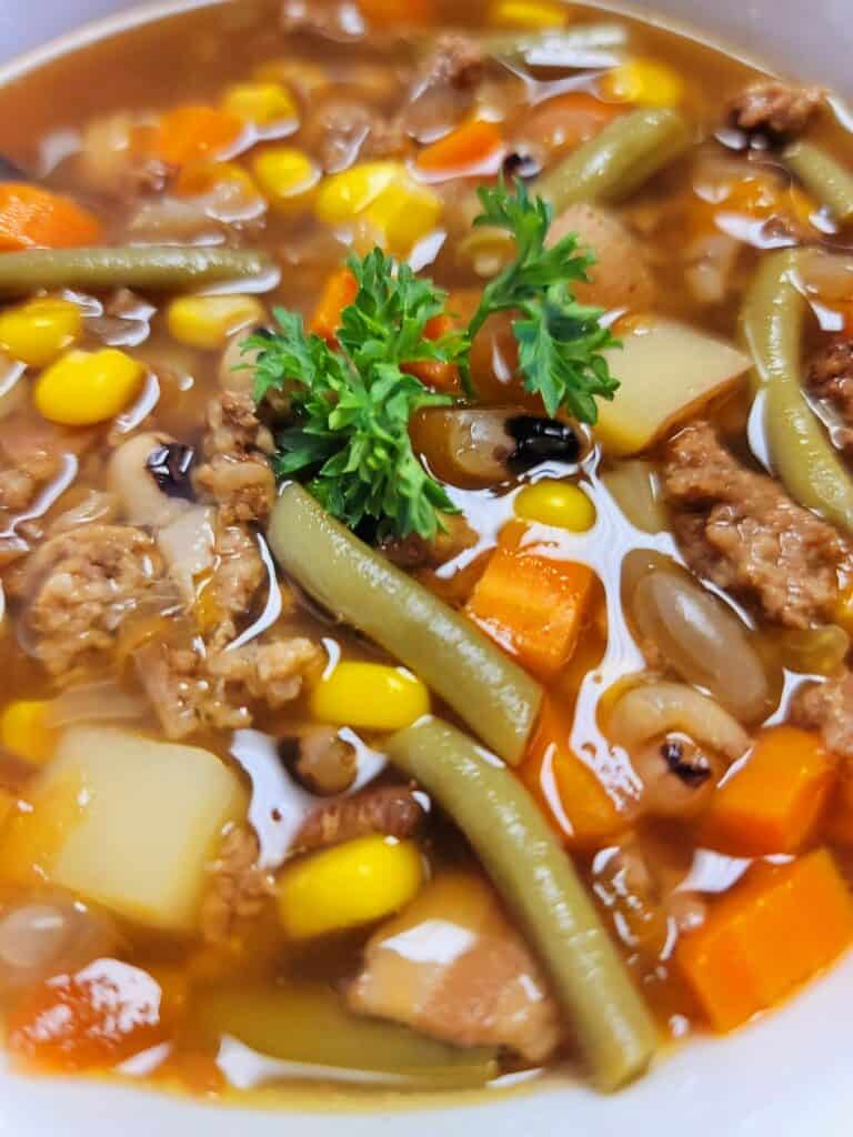 Vegetable Beef Soup