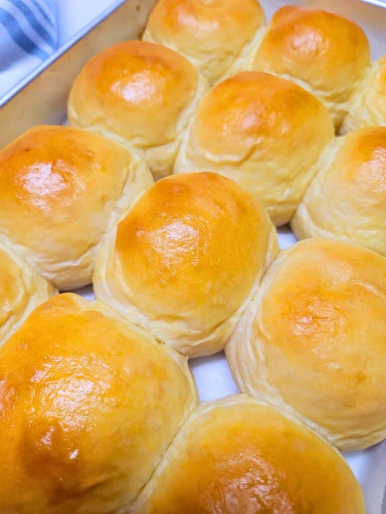 Quick Dinner Rolls