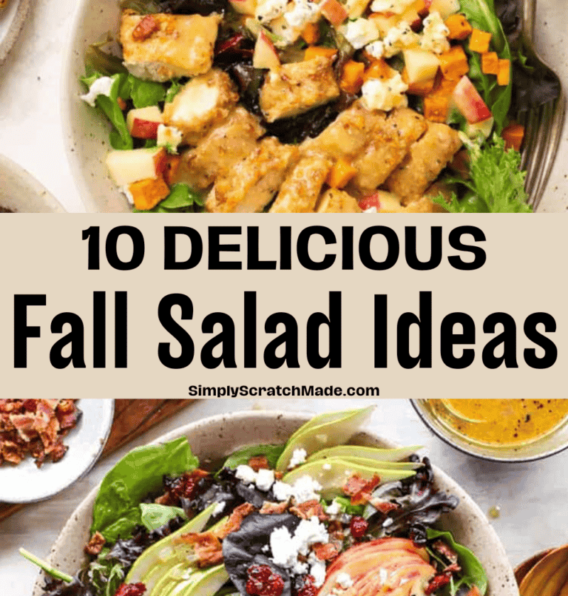 10 Fall Salads