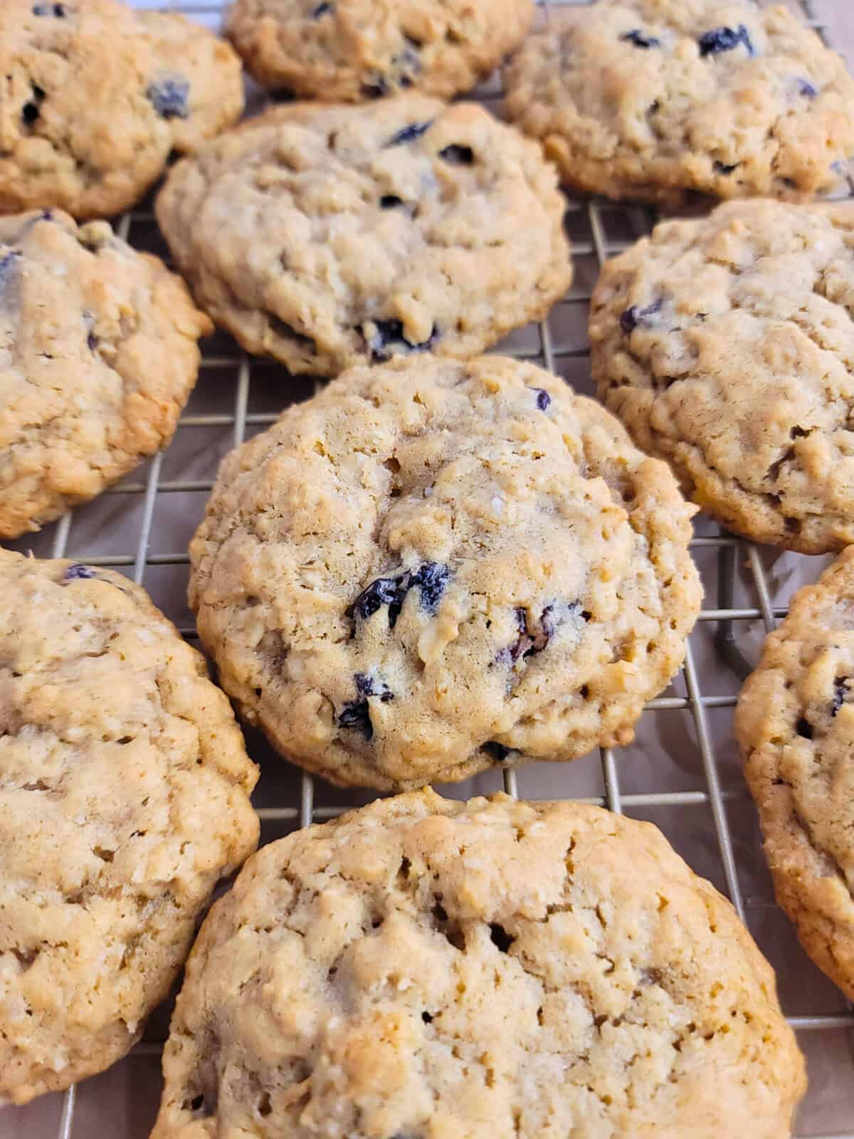 Soft Oatmeal Cookies