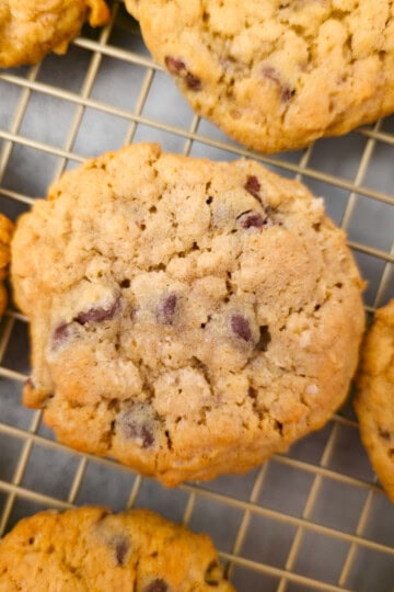 Best Oatmeal Chocolate Chip Cookies