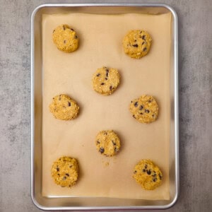 Best Oatmeal Chocolate Chip Cookies
