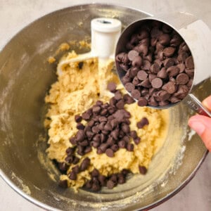 Best Oatmeal Chocolate Chip Cookies