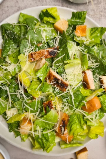 Grilled Chicken Caesar Salad