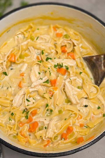 Creamy Chicken Noodle Soup Recipe